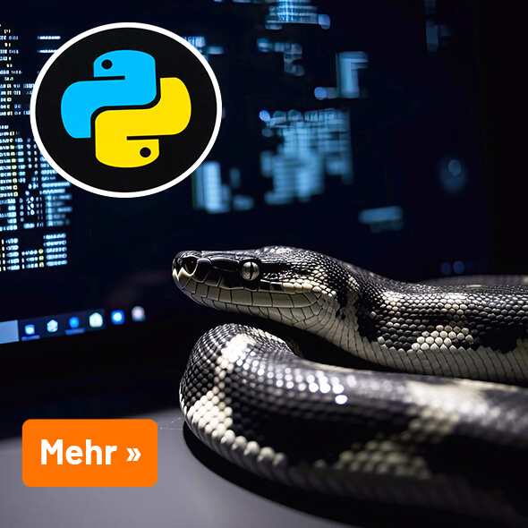 Python & MicroPython: Dateneingabe und Tastensteuerung