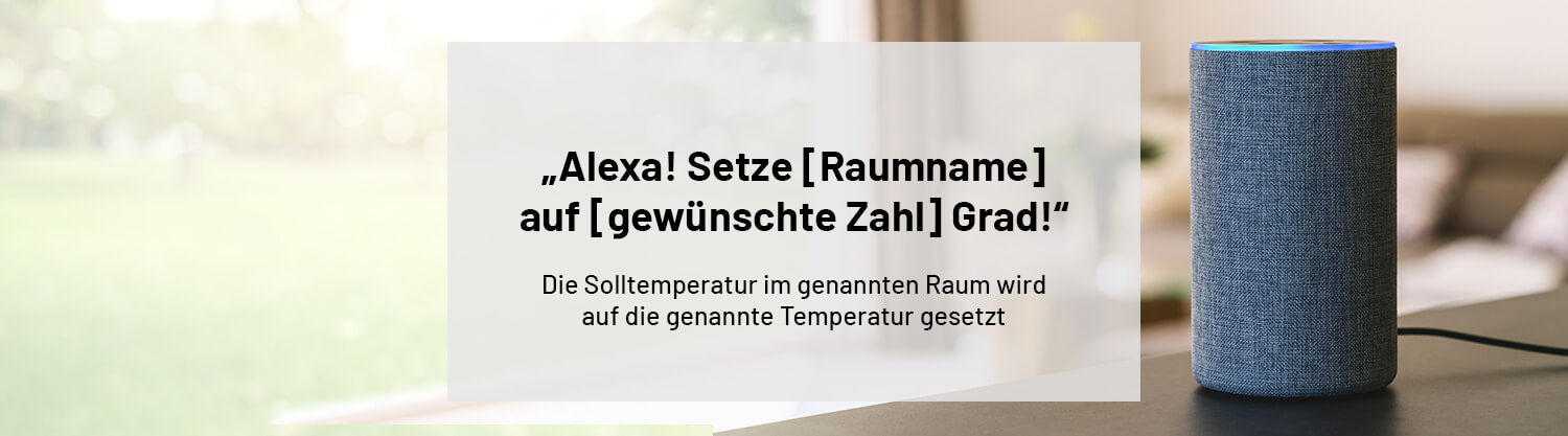 Sprachbefehl 1 Alexa und Etrv-2